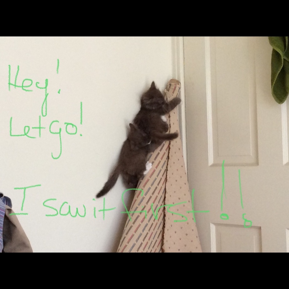 SHOP POSHMARK!! Avoid scenes like this at the mall